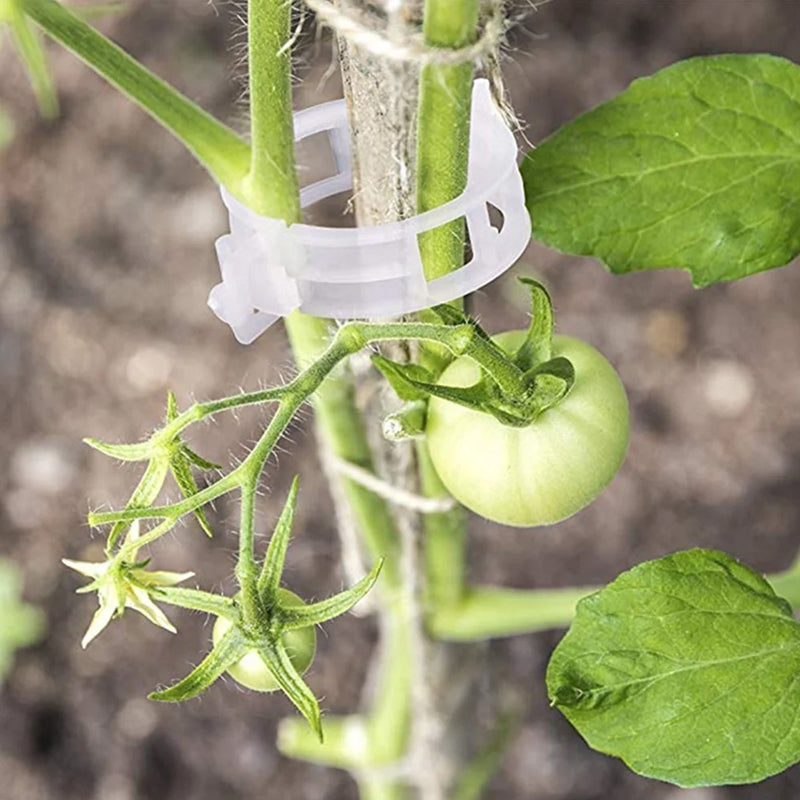 PlantClips - Support Réutilisable Pour Plantes Et Clips De Fixation