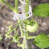 PlantClips - Support Réutilisable Pour Plantes Et Clips De Fixation