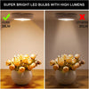 OVERNIGHT™ SMART Ultra Capteur Led | USB Réchargeable