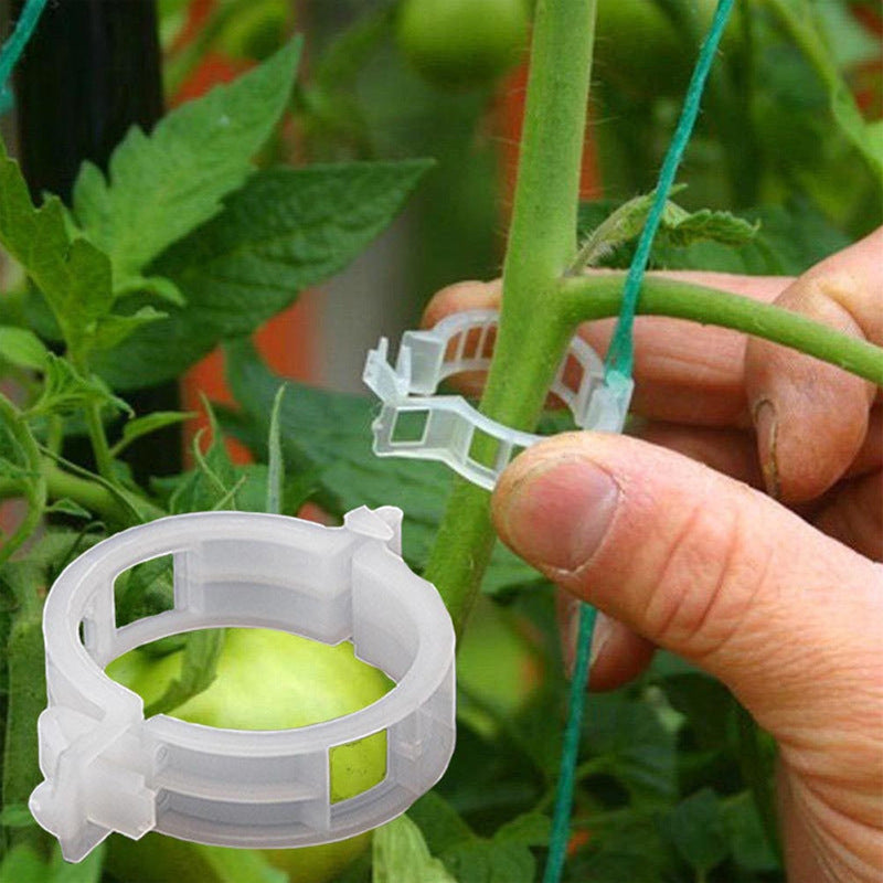 PlantClips - Support Réutilisable Pour Plantes Et Clips De Fixation