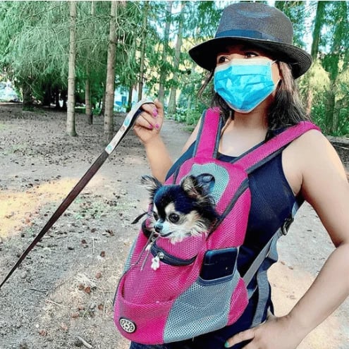 DogFri™ Backpack - Sac de Transport Pour Chien Respirant