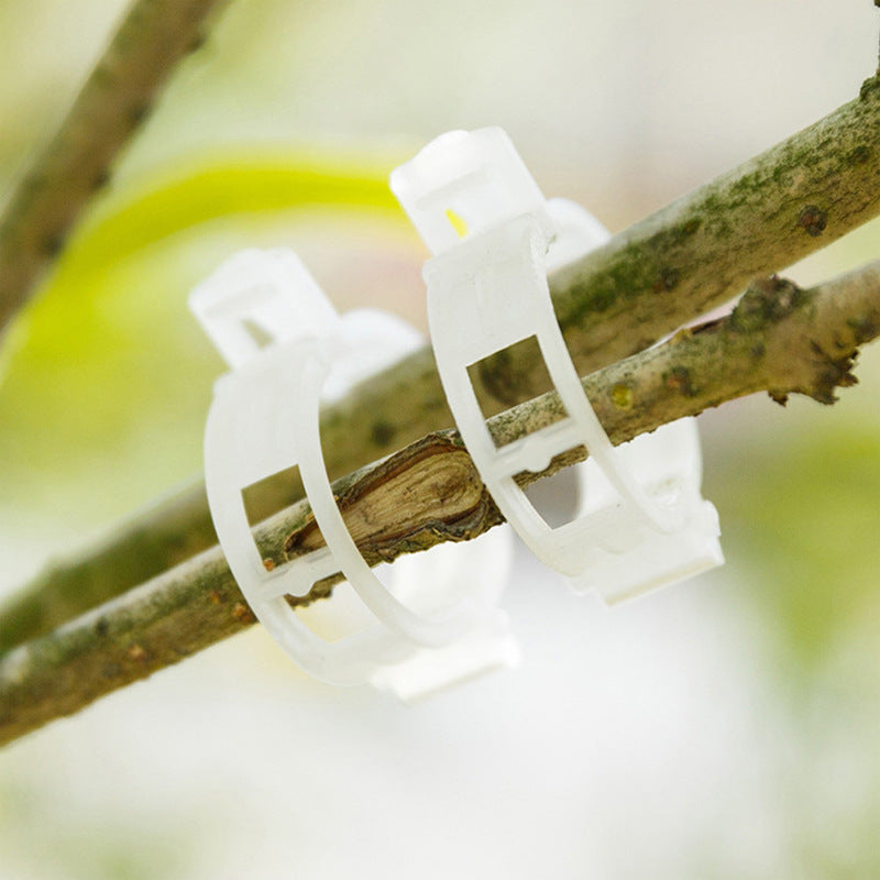 PlantClips - Support Réutilisable Pour Plantes Et Clips De Fixation