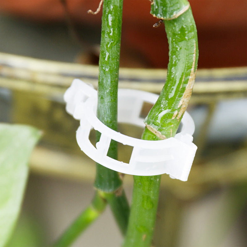 PlantClips - Support Réutilisable Pour Plantes Et Clips De Fixation