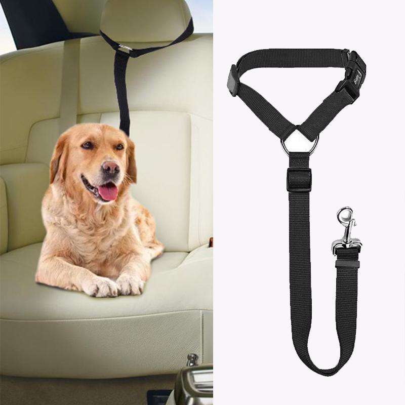 DogCatFri™ CarLeash 1+1 GRATUIT: Réglable Sécurité Animal Siège Auto Laisse