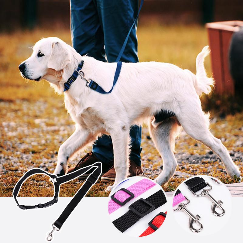 DogCatFri™ CarLeash 1+1 GRATUIT: Réglable Sécurité Animal Siège Auto Laisse