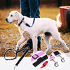 DogCatFri™ CarLeash 1+1 GRATUIT: Réglable Sécurité Animal Siège Auto Laisse