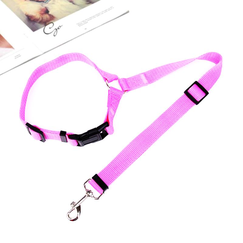 DogCatFri™ CarLeash 1+1 GRATUIT: Réglable Sécurité Animal Siège Auto Laisse