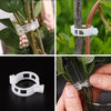 PlantClips - Support Réutilisable Pour Plantes Et Clips De Fixation