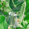 PlantClips - Support Réutilisable Pour Plantes Et Clips De Fixation