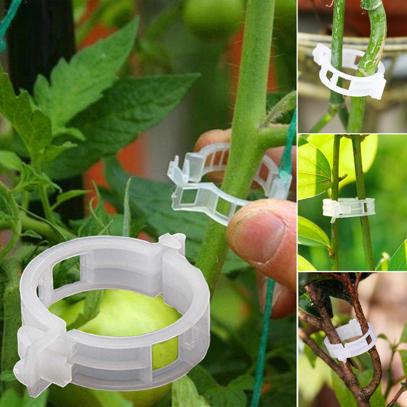 PlantClips - Support Réutilisable Pour Plantes Et Clips De Fixation