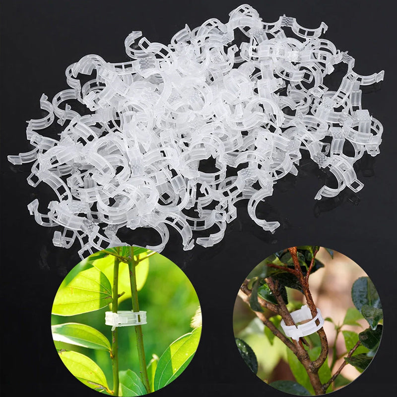 PlantClips - Support Réutilisable Pour Plantes Et Clips De Fixation