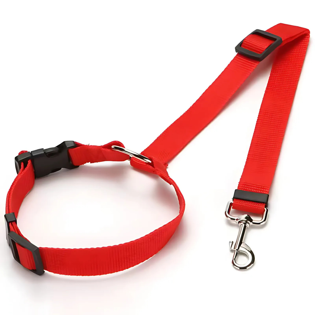 DogCatFri™ CarLeash 1+1 GRATUIT: Réglable Sécurité Animal Siège Auto Laisse