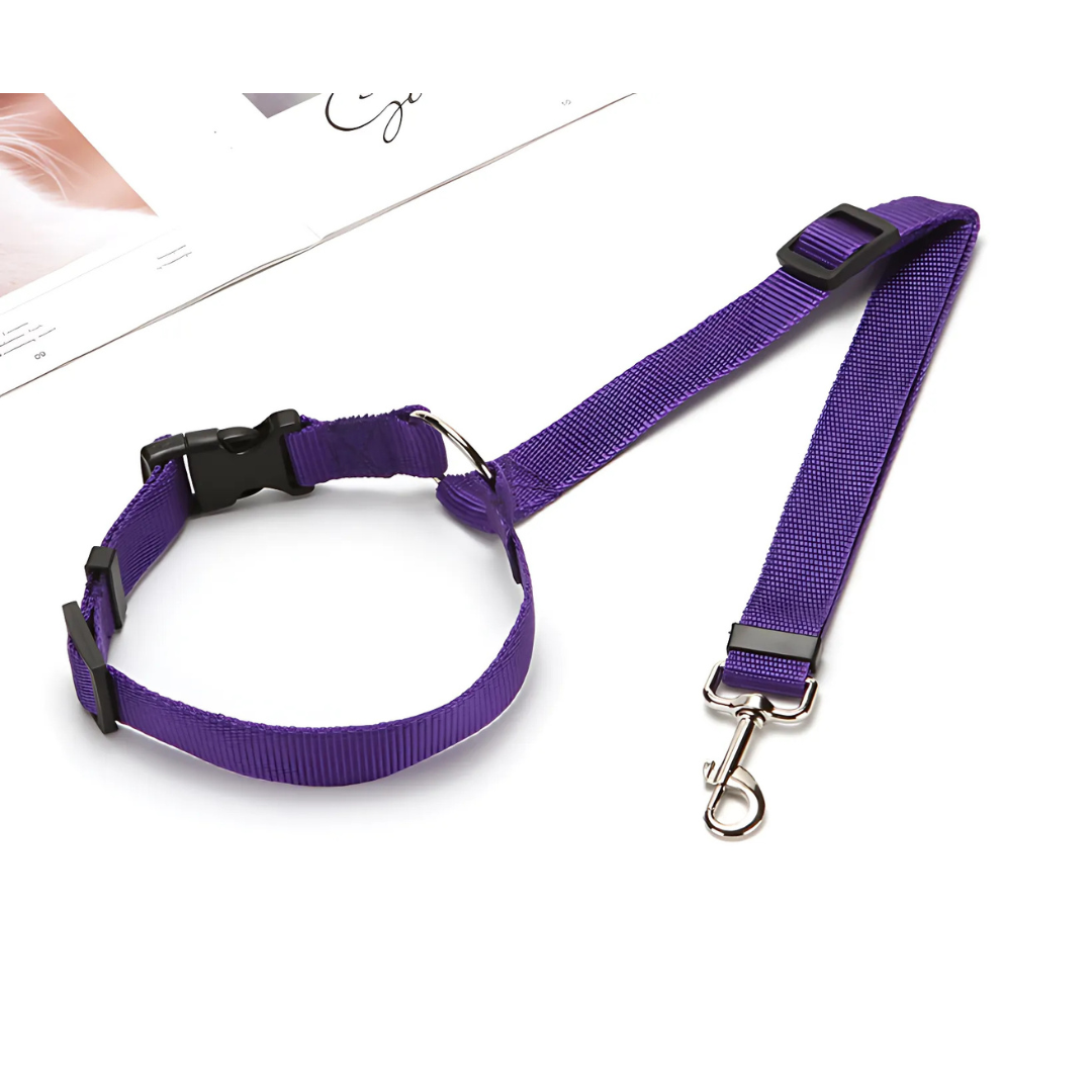 DogCatFri™ CarLeash 1+1 GRATUIT: Réglable Sécurité Animal Siège Auto Laisse