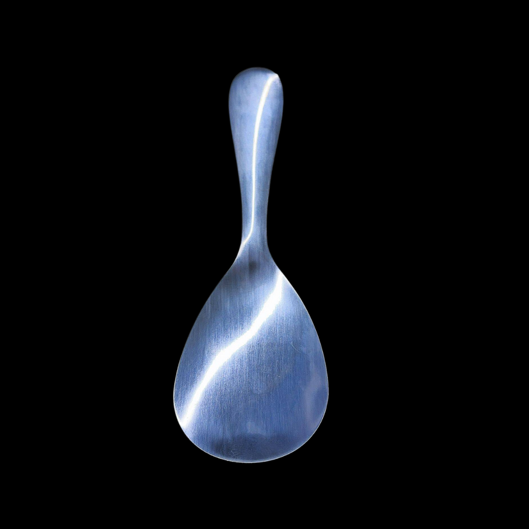 Globetrek° RiceSpoon - Anti-adhérent Acier Inoxydable Cuillère à Servir le Riz
