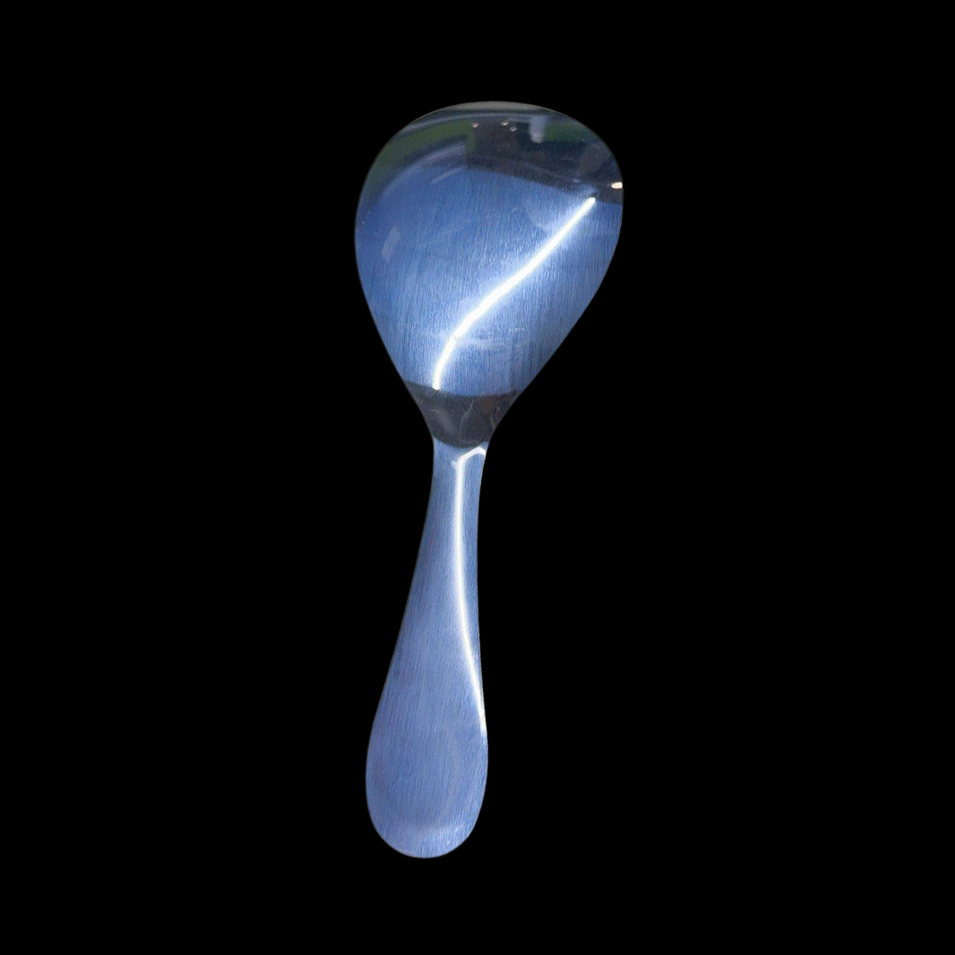 Globetrek° RiceSpoon - Anti-adhérent Acier Inoxydable Cuillère à Servir le Riz