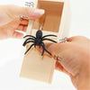 SpiderBox - Boîte Araignée Farce Effrayante