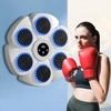 ProBoxer - Entraîneur De Boxe Intelligent Pour Enfants Et Adultes