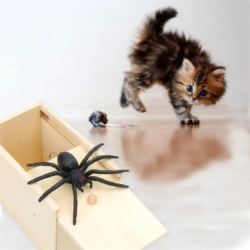 SpiderBox - Boîte Araignée Farce Effrayante