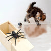 SpiderBox - Boîte Araignée Farce Effrayante
