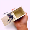 SpiderBox - Boîte Araignée Farce Effrayante