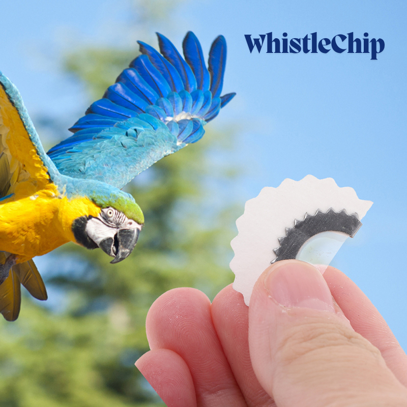 BirdWhistle 1+1 GRATUIT – Mini Appeau D'Oiseau Magique Sifflet Puce
