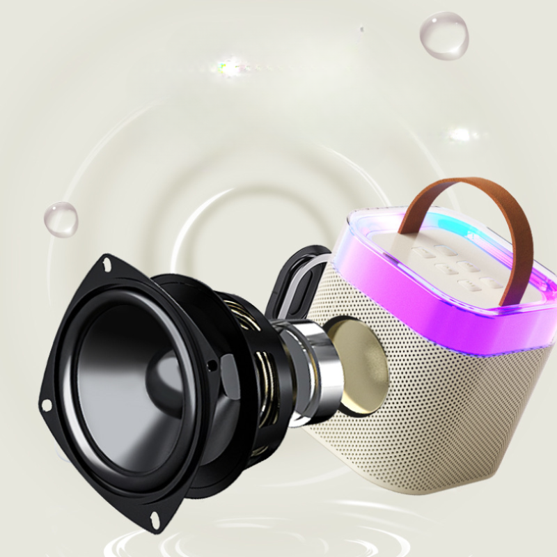 KaraokePro – Mini Machine De Karaoké Avec Microphones Sans Fil