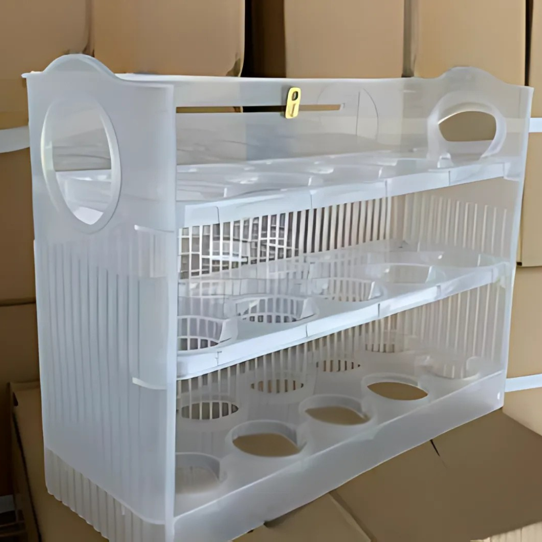 EggBox - Boîte De Conservation D'œufs À Trois Couches Et À Rebondissement Automatique