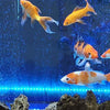 Ledsen™ GlowBubble: LED Aquarium Coloré Briller Bulle Lumière