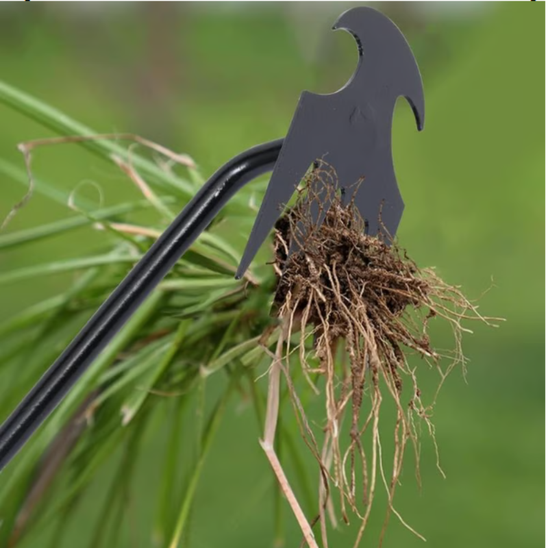 WeedRemover 1+1 GRATUIT: Ergonomique Mauvaises Herbes Enlèvement De Jardin Outil