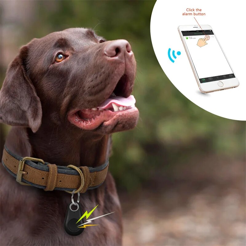 DogCatFri™ PetTracker - Bluetooth Animal De Compagnie Sans Fil Traceur